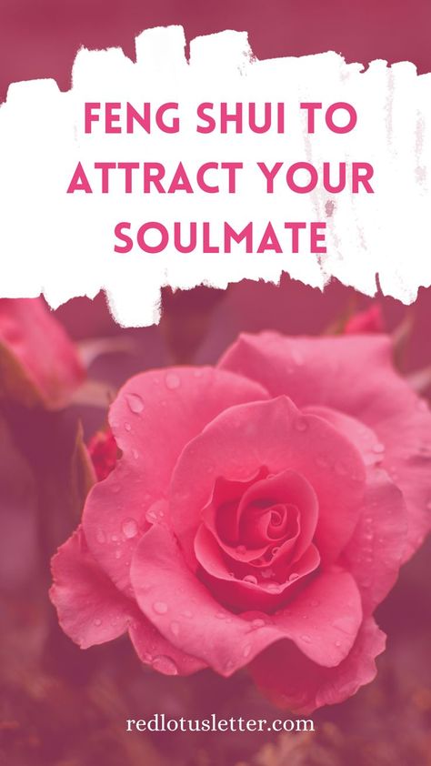 Are you looking for that person with whom you sense a connection above all others? The one who seems to speak to your soul? Well, your search is finally coming to an end. Explore these tips and start activating a forever love energy to find 'The One' ? #redlotusletter #fengshuitips #fengshuikatie #fengshuilifestyle #fengshuiliving #fengshuiyourlife #fengshui #fengshuiforlove #romance #love #happy #caring #romance #couple #romantic #soulmate #relationshipgoals Feng Shui Relationship Corner, Feng Shui Candles, Feng Shui Wealth Corner, Romantic Soulmate, Feng Shui For Love, Spiritual House, Feng Shui Love, Thinker Quotes, Attract Your Soulmate