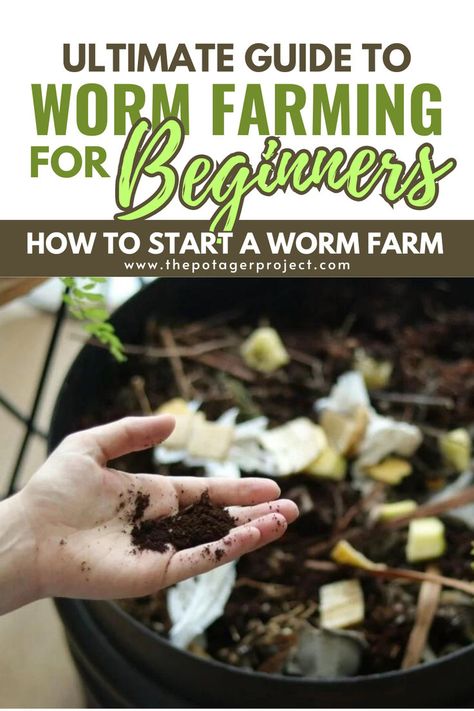 A hand holding a small amount of soil in front of a compost bin filled with organic waste, with a green fern visible on the right side. How To Start A Worm Farm, Farming For Beginners, Vermicomposting Worm Farm, Composting For Beginners, Worm Beds, Worm Farming, Best Companion Plants, Urban Backyard, Sustainable Gardening