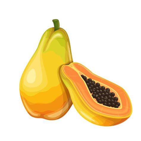 Papaya Images, Papaya Art, Papaya Fruit, Realistic Illustration, Fruit Icons, Fruit Cartoon, Fruits Drawing, Funny Fruit, Fruit Vector