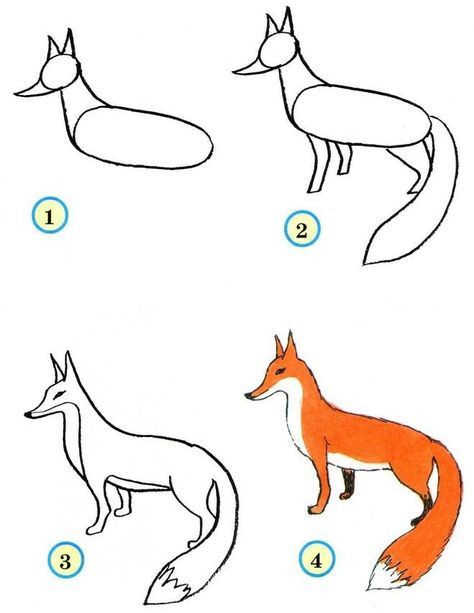 Fox Drawing Tutorial, Drawing Ideas Animals, Fox Drawing Easy, How To Draw Painting, Animals Step By Step, Basic Drawing For Kids, Fox Artwork, Easy Animal Drawings, Recycled Clothes