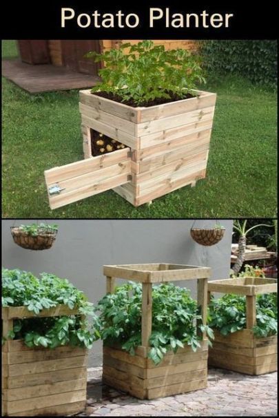 Raised Vegetable Garden Ideas, Potato Planter, Raised Vegetable Garden, Potato Planters, Vegetable Garden Ideas, Raised Vegetable Gardens, Garden Photography, Apartment Garden, Garden Layout