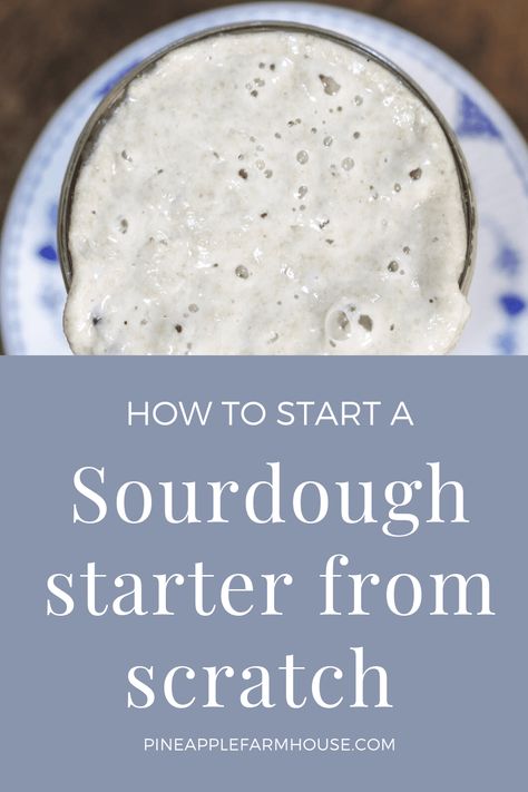 How to start a sourdough starter from scratch￼ Sour Dough Bread Starter Recipe, Sourdough Bread Starter, Dough Starter, Sourdough Starter Discard Recipe, Homemade Sourdough Bread, Bread Starter, Sourdough Starter Recipe, Sourdough Baking, Sourdough Bread Recipe