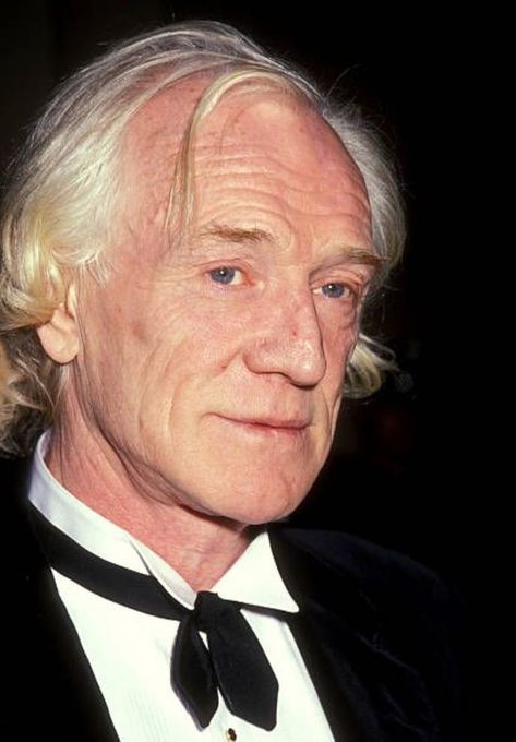 Ku Art, John Harris, Richard Harris, Classic Actors, Actors Male, Irish Actors, Hollywood Actors, Academy Award, King Arthur