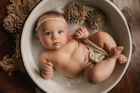 Newborn Shoot, Milk Bath, Diy Photography, Newborn Baby Photography, Family Fashion, Family Maternity, Baby Photoshoot, Baby Bath, Fashion Photoshoot