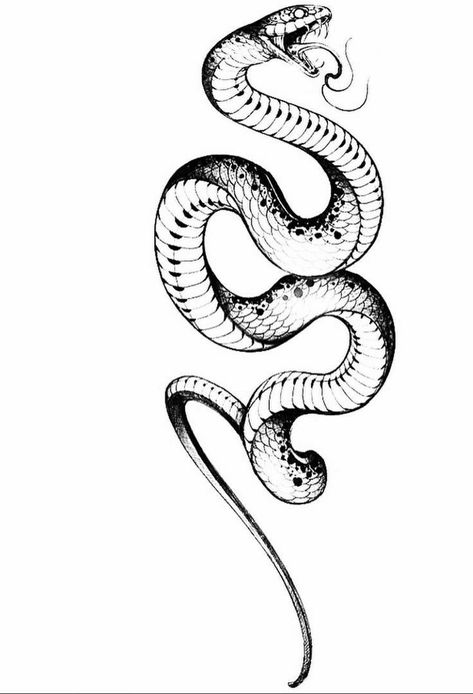 Mouth Open Drawing, Digital Lineart, Drawing Snake, Snake Outline, Cobra Tattoo, Snake Illustration, Snake Drawing, Snake Tattoo Design, Muster Tattoos