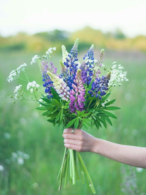 Lupin Bouquet, Lupine Bouquet, Lupine Flowers, Flower Cottage, Hand Flowers, Cut Flower Garden, Wildflower Bouquet, Bouquet Arrangements, Summer Bucket List