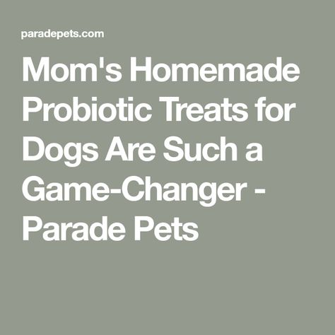 Mom's Homemade Probiotic Treats for Dogs Are Such a Game-Changer - Parade Pets Diy Probiotics For Dogs, Homemade Probiotics For Dogs, Dog Probiotics Diy, Natural Probiotics For Dogs, Homemade Probiotic Dog Treats, Natural Probiotic Foods, Probiotic For Dogs, Treat For Dogs, Dog Probiotics