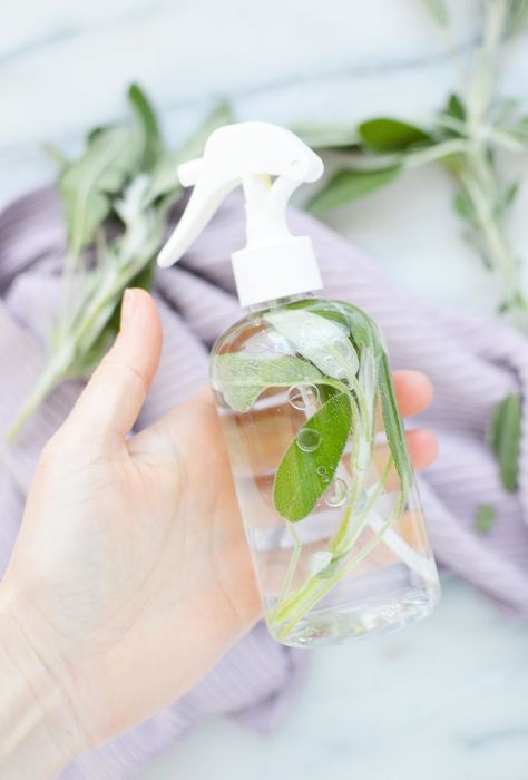 Sage is an herb thought to have a multitude of healthy home benefits. In fact, some people believe that sage can clear negative energy from a space. This DIY sage cleansing spray combines the power of natural ingredients to effectively cleanse your home with a lovely sage scent afterwards.    You will want to use fresh sage for this spray. Dried sage from the spice aisle will not be as effective - or as beautiful.    Ingredients you will need:  1 bunch of fresh sage leaves (about… Wax Air Freshener, Sage Cleansing, Sage Spray, Scrub Soap Bars, Antibacterial Essential Oils, Natural Room Spray, Soap Melt And Pour, Smudge Spray, Cleansing Spray