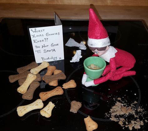 Dog biscuits Dog Treat Elf On The Shelf, Elf Ideas Easy, Elf Pets, Xmas Elf, Elf Ideas, Dog Biscuits, Dog Treat, Dog Pin, Shelf Ideas