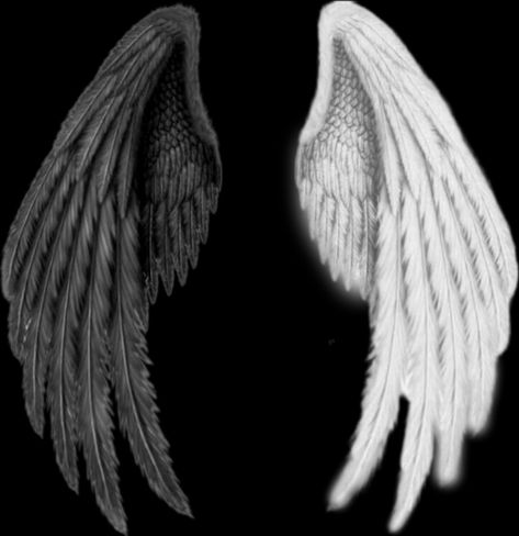 Fallen Angel Wings Drawing, Angel And Demon Wings, Black And White Angel Wings, Black And White Wings, Fallen Angel Wings, Angelic Wings, Emoji Cat, Angel Wings Drawing, Cool Half Sleeve Tattoos