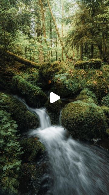 Travel & Landscape - Photography on Instagram: "The enchanted blackforest 🍃🫶…
|
📍Schweinbachtal / Calw / Germany 🇩🇪 
|
📷 more nature vibes @giuliogroebert 
|
🚐 exploring the world w/ @elena_wuest 
|
#countryside #schwarzwald #weroamgermany #blackforest #germany #seasonpoetry #fairytaleforest #forestbathing #forestlovers #schwarzwaldliebe #badenwürttemberg #naturliebe #cinematic #fantasy #fantasyaesthetic #dreamy #enchantedforest #forest #intothewoods #calw #deutschlandistschön #deutschland🇩🇪" Blackforest Germany, Nature Vibes, Doctor's Office, Travel Landscape, Doctor Office, March 3, Exploring The World, Into The Woods, Beautiful World