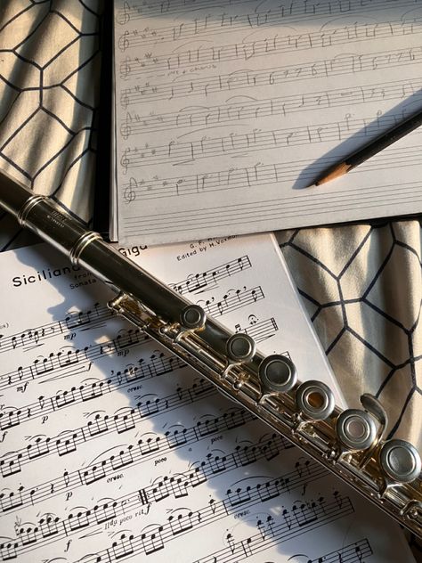 Flute shining in the sun light on top of a pad of sheet music with a pencil and a piece of sheet music on top of a bed. Flute Sheet Music Aesthetic, Aesthetic Flute Pictures, Flute Practice, Flute Aesthetic, Art Instruments, Alto Flute, Sunset Music, Tara Jones, Transverse Flute