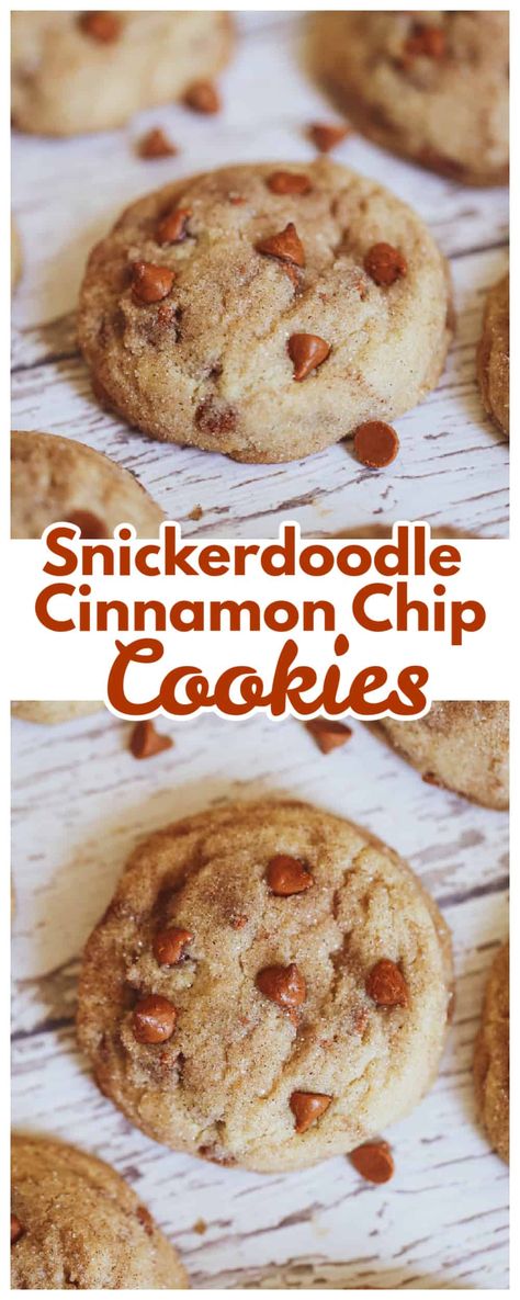 Apple Cinnamon Chip Cookies, Cinnamon Apple Snickerdoodle Cookies, Cookie Jar Cookies, Hershey's Cinnamon Chip Recipes, Cinnamon Chips Recipes, Recipe With Cinnamon Chips, Cookies With Cinnamon Chips, Cinnamon Chip Cookies, Saturday Baking