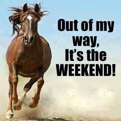 it's the weekend images for facebook | Its The Weekend Pictures, Photos, and Images for Facebook, Tumblr ... Happy Weekend Quotes, Weekday Quotes, Weekend Quotes, American Saddlebred, Funny Horses, Weekend Humor, Hello Weekend, Quotes Happy, Horse Quotes