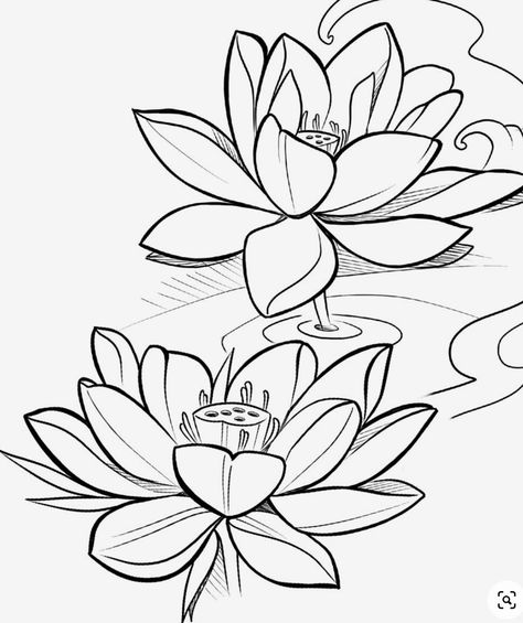 Lotus Flower Drawing, Lotus Drawing, Lotus Flower Tattoo Design, Japanese Flower Tattoo, Lotus Tattoo Design, Lotus Flower Art, Flower Art Drawing, Floral Tattoo Design, Tattoo Design Book