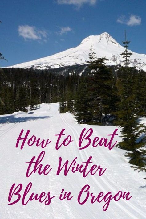 What to do in Oregon in winter. What to do in Portland in winter. Beat those winter blues and find some joy! Best Mixed Drinks, Oregon Coastline, Pacific Northwest Travel, Portland Travel, Forest Grove, Forest Park, Beautiful Ocean, Cloudy Day, North America Travel