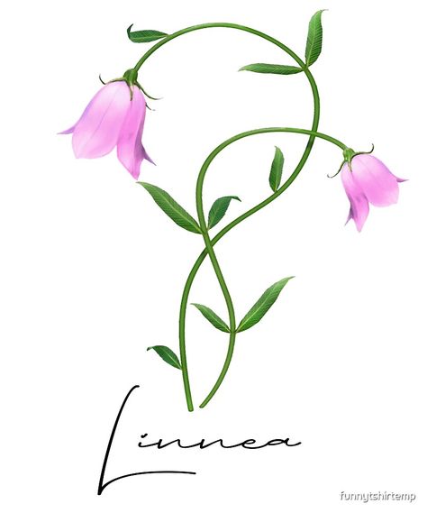 "Nordic Wildflower Linnea Twinflower Pretty Pink Flowers floral" by funnytshirtemp | Redbubble Linnea Flower Tattoo, Linnea Flower, Wildflower Drawing, Pretty Pink Flowers, Flower Wrist Tattoos, Scandinavian Folk Art, Flower Tattoo Designs, Anime Tattoos, Mini Tattoos