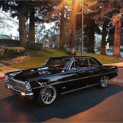 Chevy II Nova 66 Nova, Tmax Yamaha, Gm Car, Chevy Muscle Cars, Chevrolet Nova, Custom Muscle Cars, Car Classic, Chevy Nova, Old School Cars