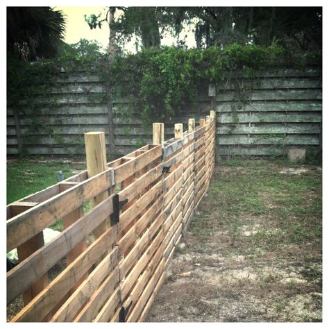 Pallet Fence Diy, Diy Backyard Fence, Backyard Fence, Pallet Fence, Diy Fence, Front Yard Fence, Farm Fence, Modern Fence, Poultry Farm