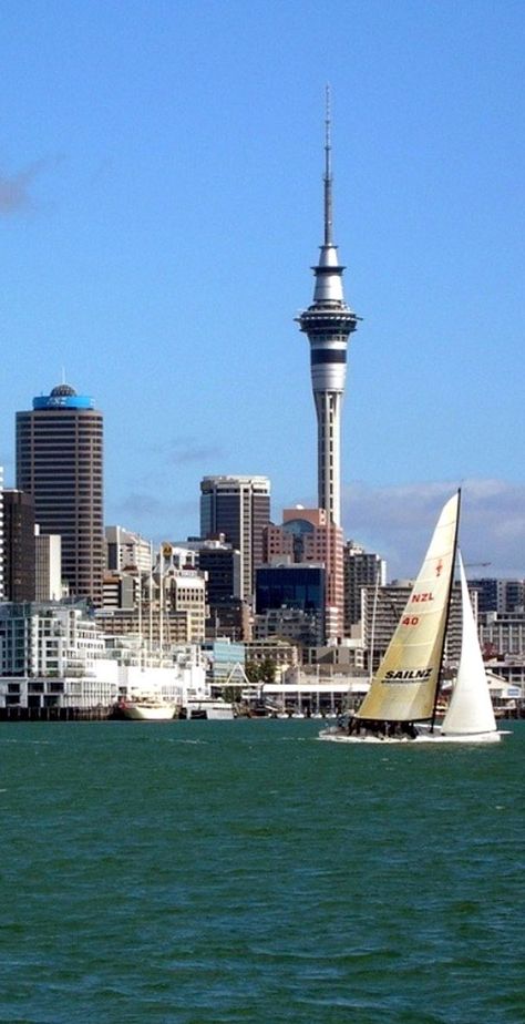 Auckland, New Zealand | The legendary Sky Tower is one of the landmarks of Auckland. Those who are brave enough to head to the top have the opportunity to enjoy a panoramic view of the city from 196 meters up. Nee Zealand, New Zealand Symbols, Sky Tower, New Zealand Adventure, New Zealand Food, Visit New Zealand, City Skylines, America's Cup, Beautiful Cities