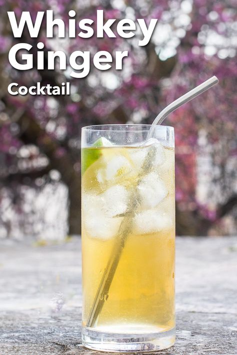 Pinterest image: photo of a Whiskey Ginger cocktail with caption reading "Whiskey Ginger Cocktail" Whiskey Ginger Ale Cocktail, Ginger Whiskey Cocktail, Jameson And Ginger Ale, Jameson Cocktails Easy, Jameson Whiskey Drinks Cocktail Recipes, Cocktails With Ginger Ale, Jameson Whiskey Drinks, Jameson Cocktails, Ginger Cocktail Recipes