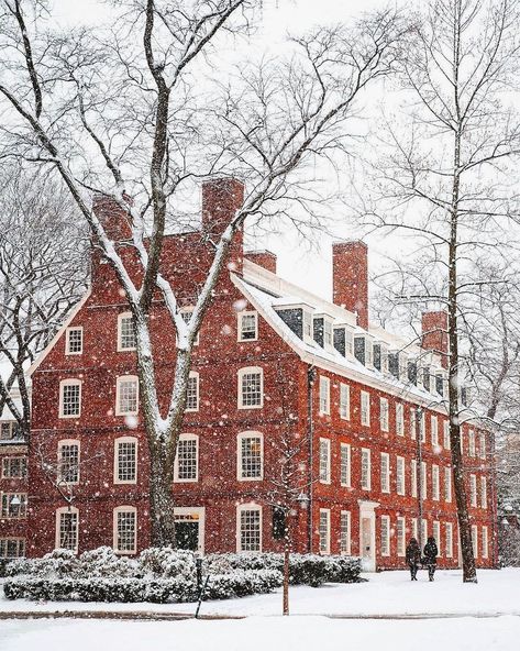 SearchBoston’s Instagram profile post: “Harvard Yard, Harvard University. Photo by @quackieduck. 📸 . . . . . #boston #bostonma #bostonmass #bostonmassachusetts #bostonphoto…” Harvard Yard, Boston Winter, Architecture Classic, Snowy Scene, Townhouse Designs, Famous Buildings, Classic Architecture, Harvard University, Winter Scenery