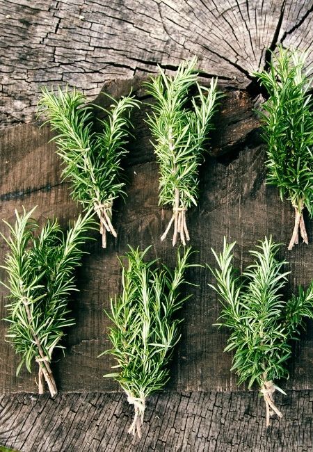 How to Grow Rosemary in 2021 | Montana Happy Rosemary From Seed, Rosemary Plant Care, How To Grow Rosemary, Grow Rosemary, Patio Herb Garden, Gemüseanbau In Kübeln, Low Maintenance Garden Design, Container Herb Garden, Rosemary Herb