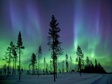 Northern Lights Wall Mural, Northern Lights Finland, Aurora Borealis Painting, Northern Lights Art, Northern Lights Painting, Northern Lights (aurora Borealis), Aurora Borealis Northern Lights, Lights Wall, See The Northern Lights