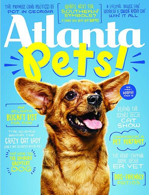 Pet Advertising, Pet Magazine, Social Media Campaign Design, Pet Branding, Dog Branding, Magazine Layout Design, Pet Wellness, Motion Graphics Design, Print Layout