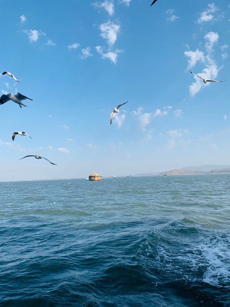 Somewhere in the Arabian sea, finding peace and tranquility.. Peace And Tranquility, Arabian Sea, Sailing Vessel, Finding Peace