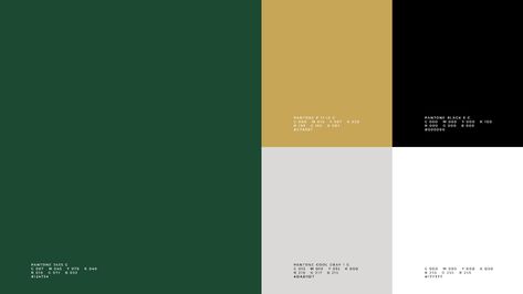 Real Estate Colour Palette, Color Palate, Branding Graphic Design, Colour Palettes, Color Pallets, Photoshop Adobe, Graphic Designers, Graphic Design Art, Personal Branding