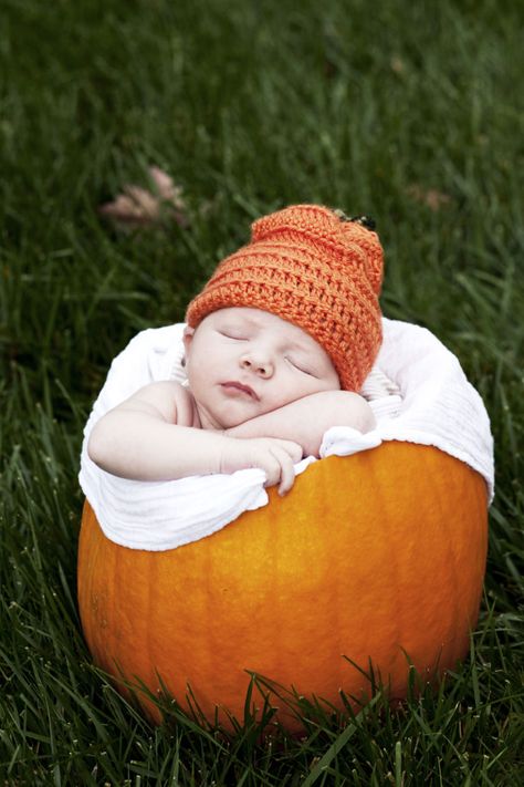 Baby Spa, Pumpkin Pictures, Pumpkin Photos, Pack And Play, Toddler Pillow, Outdoor Baby, Baby In Pumpkin, Fall Baby, Newborn Pictures