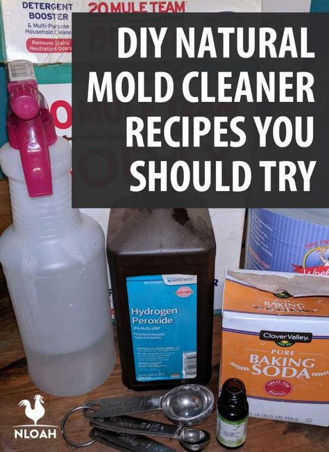 Diy Mold Remover, Mold Cleaner, Cleaning With Peroxide, Mold Spray, Baking Soda Benefits, Mildew Remover, Cleaning Mold, Cleaner Recipes, Baking Soda Uses