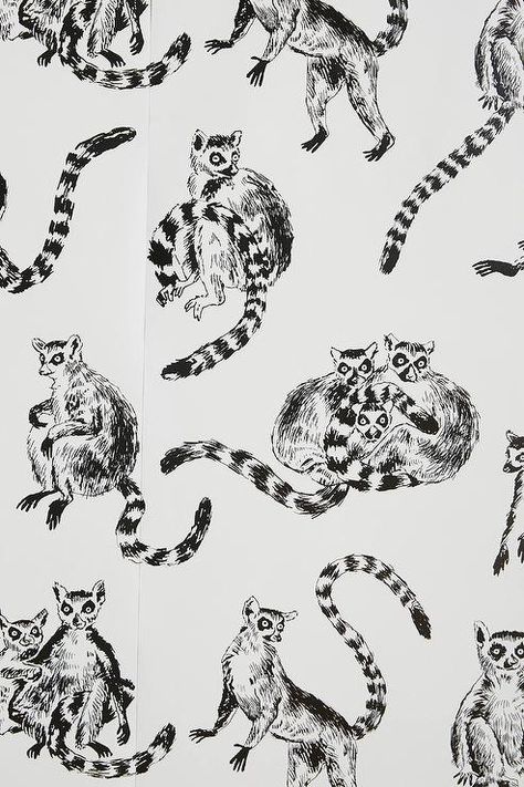 Wallpaper - Leaping Lemurs Wallpaper features a pattern of black and white leaping lemurs scattered everywhere providing a fun design. Dog Pattern Wallpaper, Lemur Wallpaper, Sally Muir, Timber Frame House, Black And White Dog, Interior D, White Dog, Room Decorations, White Dogs