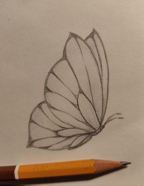 Butterful Drawing, Sketch Ideas Butterfly, Fun Drawing Ideas Doodles, Art Sketches Butterfly, Drawing Ideas Green, Nature Drawings Simple Sketch, Summer Sketches, Butterfly Sketch, Cool Pencil Drawings