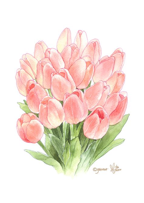 Flower Bouquet Drawing, Tulip Drawing, Tulip Painting, Tulips Art, Watercolor Tulips, Easter Wallpaper, 수채화 그림, Watercolor Flower Art, Photoshop Cc