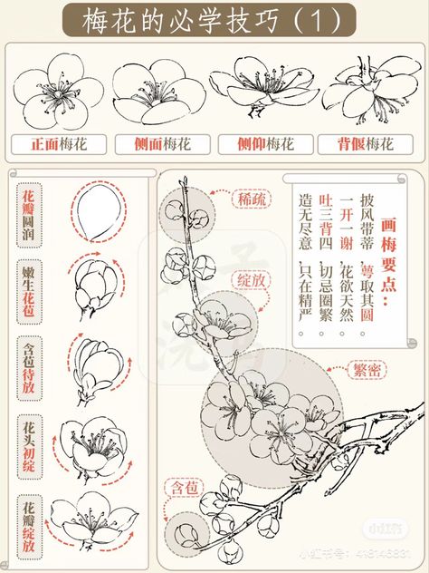 Digital Art Flowers Tutorial, Old Flower Drawing, Ikebana Drawing, Chinese Art Tutorial, Japanese Art Tutorial, Flower Study Drawing, Japanese Flower Drawing, How To Draw Cherry Blossoms, Hydrangea Leaves