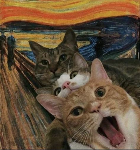 Group Of Cats, The Scream, Arte Van Gogh, Cat Quotes Funny, Art Parody, Silly Cats Pictures, Cat Icon, Cats Art, Cat Quotes