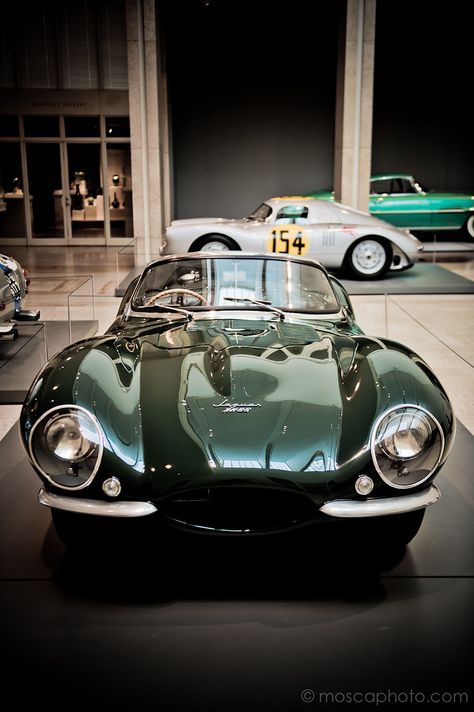 Green Jaguar, Jaguar Xkss, Car Jaguar, Jaguar Auto, Jaguar (cars), British Racing Green, Jaguar Xk, Best Classic Cars, Jaguar Car