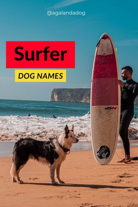 a surfer and his dog on the beach. Hawaiian Dog Names, Creative Dog Names, Dog Names Girl, Ocean Names, Boy Dog Names, Water Names, Girl Dog Names, Cute Names For Dogs, Surfer Boy