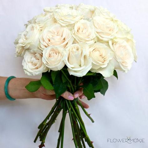 Vendela Rose | Vendela Rose Bouquet | Flower Moxie | DIY Wedding Flowers Vendela Rose, Vendela Roses, White Wax Flower, Flower Moxie, Standard Roses, Beach Wedding Decorations Reception, Wedding Flower Guide, Fresh Wedding Flowers, Fresh Cut Roses