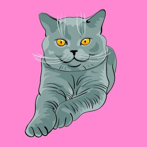 #BritishShorthairCats Cat Cartoon Images, Cats Art Drawing, British Short Hair, Short Hair Cats, British Shorthair Cats, Case Hp, Cats Art, British Shorthair, Cartoon Cat