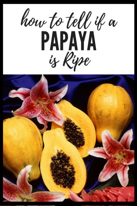 Papaya Recipes Healthy, High Vibrational Foods, Papaya Recipes, Ripe Papaya, Salads Side Dishes, Tropical Salad, Food Information, Fruit Picking, Refreshing Food