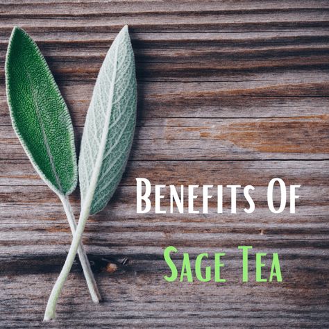 Benefits Of Sage Tea, Sage Benefits Herbs, Mint Tea Benefits, Garden Vegetable Recipes, Sage Benefits, Mint Plant, Sage Herb, Herbal Tea Benefits, Sage Tea