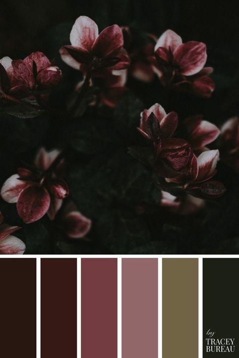 Hunting Color Palette, Dark Bedroom Color Palettes, Dark And Moody Color Palette, Goth Color Palette, Color Ideas Wedding, Gothic Color Palette, Color Palette With Black, Plum Color Palette, Dark Academia Color Palette