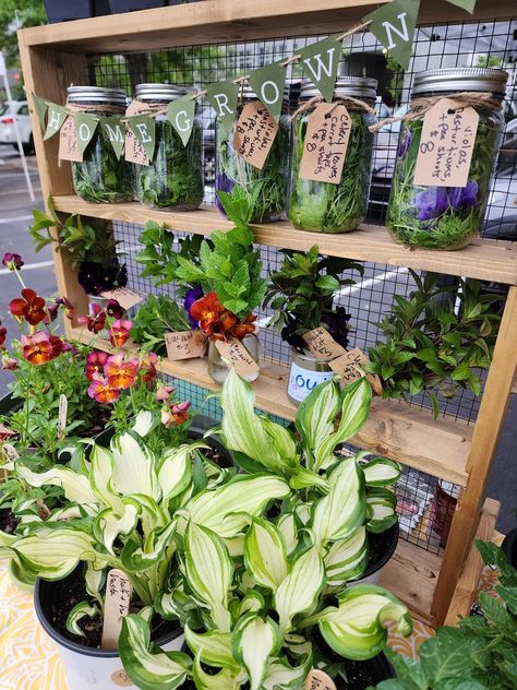 Wind-proof farmer's market display shelf for frech cut herbs and produce. Farmers Market Herb Display, Farmers Market Vegetable Display, Country Store Display Ideas, Flower Display Stand Farmers' Market, Country Store Display, Csa Box Farmers' Market, Produce Boxes Farmers' Market, Farmers Market Display, Farm Store