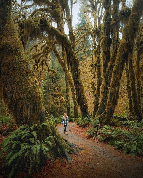 North Bend Washington, Camp Vibes, Rain Forest, Instagram Inspiration, Wild West, Pacific Northwest, North West, Bend, Vancouver