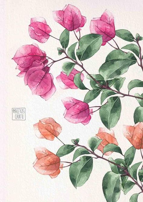 Instagram Illustration, Watercolor Flower Art, Art Painting Gallery, 수채화 그림, Flower Art Images, Watercolor Paintings Tutorials, Watercolor Art Lessons, Arte Inspo, Nature Art Painting