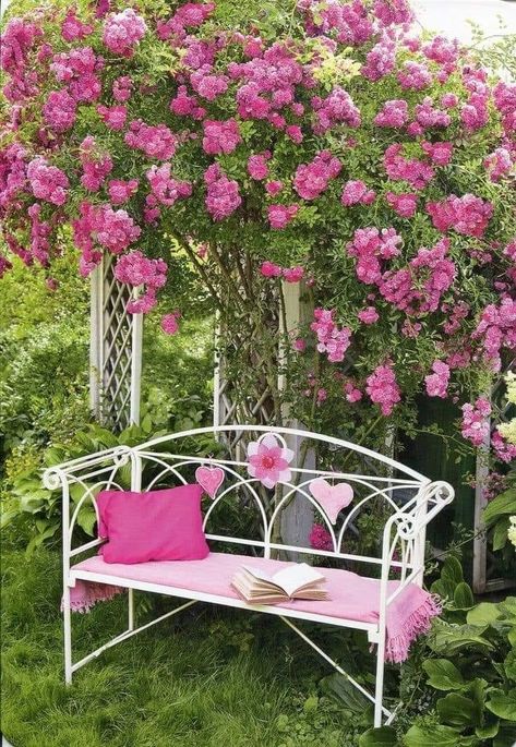 Flower Garden Pictures, Garden Sitting Areas, نباتات منزلية, Pink Garden, Garden Pictures, Beautiful Flowers Garden, Garden Yard Ideas, Friend Quotes, Garden Cottage