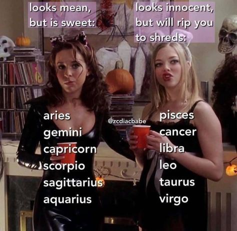 Gabriella Astetic, Zodiac Things, Aries Zodiac Facts, Zodiac Signs Chart, Taurus Zodiac Facts, Scorpio Zodiac Facts, Libra Zodiac Facts, Different Zodiac Signs, Zodiac Signs Virgo